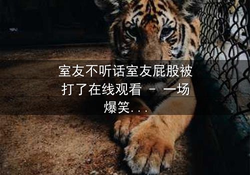 室友不听话室友屁股被打了在线观看 - 一场爆笑又扎心的同居大戏,你敢点开吗?