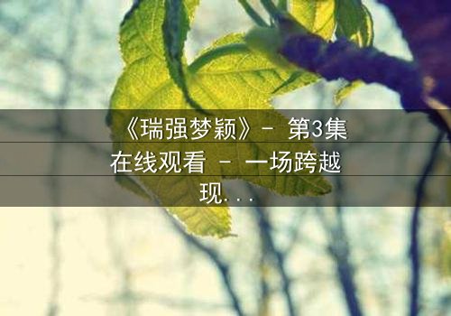 《瑞强梦颖》- 第3集在线观看 - 一场跨越现实的爱情迷局