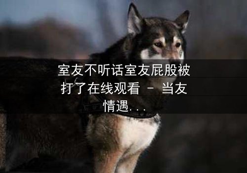 室友不听话室友屁股被打了在线观看 - 当友情遇上暴力,谁在背后操控一切?