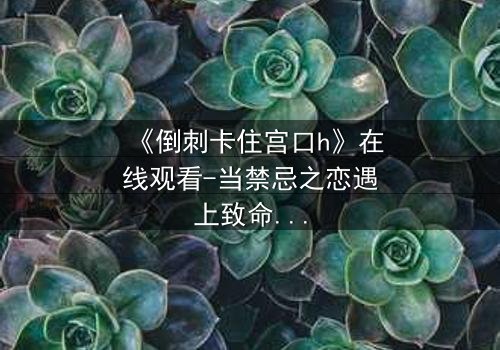 《倒刺卡住宫口h》在线观看-当禁忌之恋遇上致命陷阱，谁将挣脱命运的枷锁？