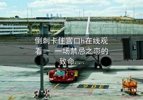 倒刺卡住宫口h在线观看 - 一场禁忌之恋的致命纠缠,你敢揭开真相吗?