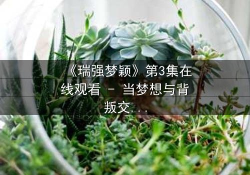《瑞强梦颖》第3集在线观看 - 当梦想与背叛交织,谁将揭开隐藏的真相?