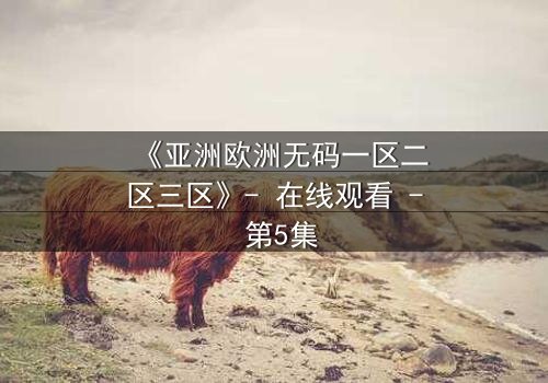 《亚洲欧洲无码一区二区三区》- 在线观看 - 第5集