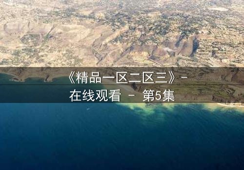 《精品一区二区三》-在线观看 - 第5集