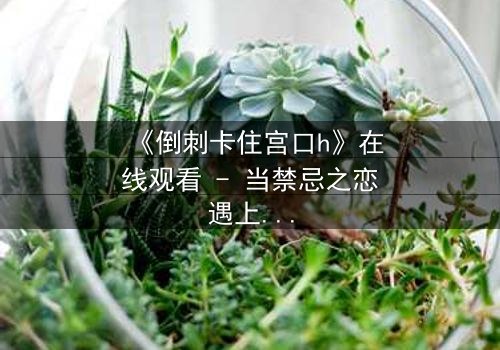《倒刺卡住宫口h》在线观看 - 当禁忌之恋遇上致命陷阱,你敢揭开真相吗?