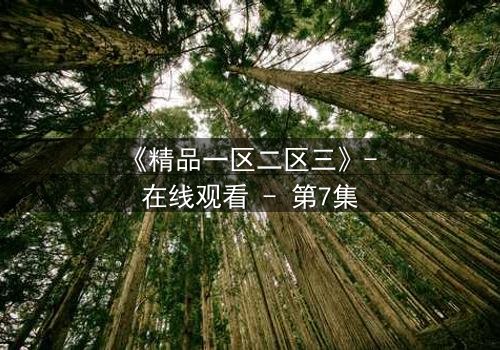 《精品一区二区三》- 在线观看 - 第7集