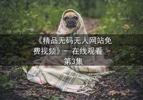 《精品无码无人网站免费视频》- 在线观看 - 第3集