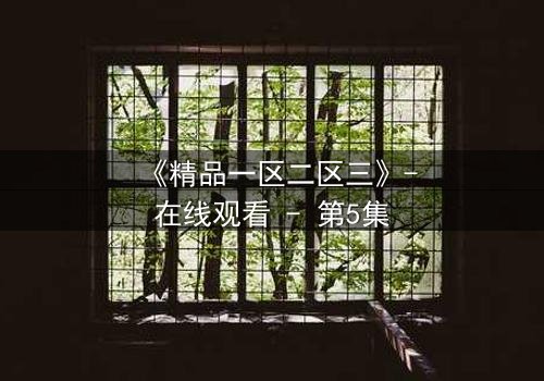 《精品一区二区三》-在线观看 - 第5集