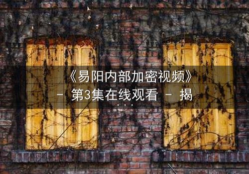 《易阳内部加密视频》- 第3集在线观看 - 揭开真相的钥匙