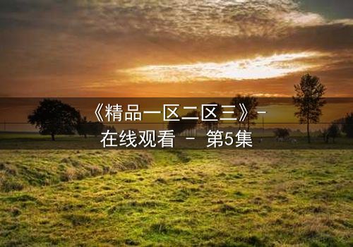 《精品一区二区三》- 在线观看 - 第5集