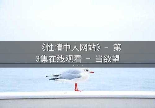 《性情中人网站》- 第3集在线观看 - 当欲望与良知在暗网交锋