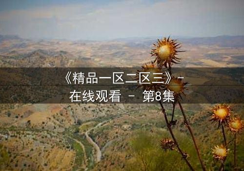 《精品一区二区三》- 在线观看 - 第8集