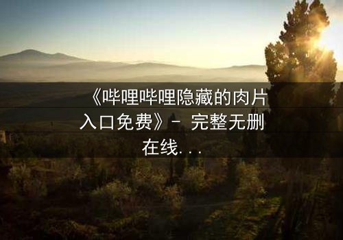 《哔哩哔哩隐藏的肉片入口免费》- 完整无删在线观看 - 揭秘那些被遗忘的禁忌片段