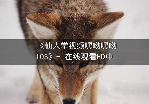 《仙人掌视频嘿呦嘿呦IOS》- 在线观看HD中字 - 当生存与背叛交织,谁能逃出沙漠迷宫?