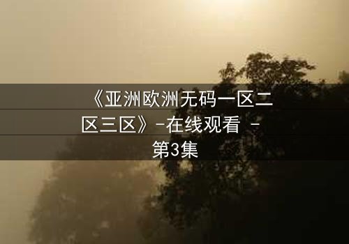 《亚洲欧洲无码一区二区三区》-在线观看 - 第3集