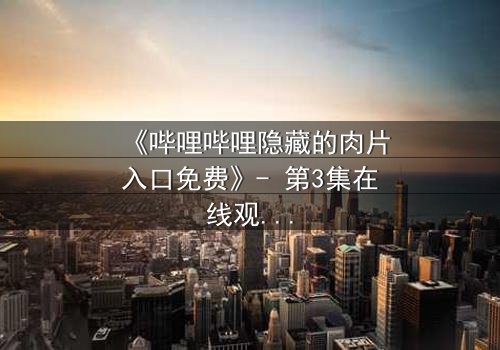 《哔哩哔哩隐藏的肉片入口免费》- 第3集在线观看 - 揭秘那些被遗忘的禁忌片段