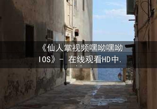 《仙人掌视频嘿呦嘿呦IOS》- 在线观看HD中字 - 一场数字迷宫的生存游戏