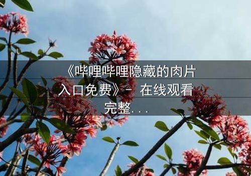 《哔哩哔哩隐藏的肉片入口免费》- 在线观看完整无删 - 揭开平台背后的秘密入口
