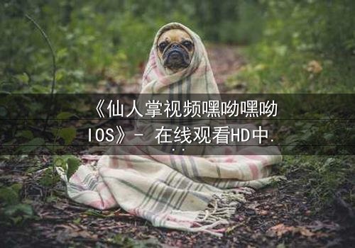 《仙人掌视频嘿呦嘿呦IOS》- 在线观看HD中字 - 当科技与人性在沙漠中碰撞