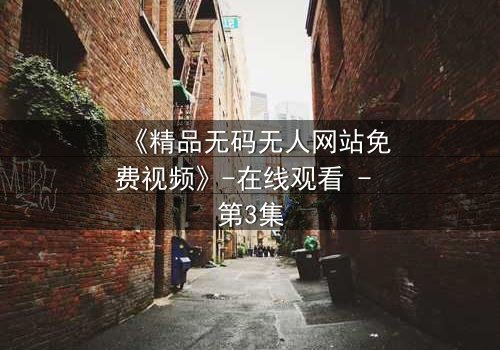 《精品无码无人网站免费视频》-在线观看 - 第3集