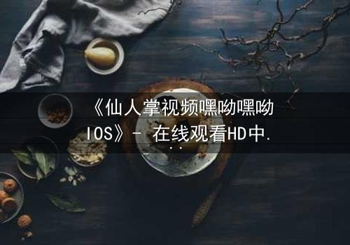 《仙人掌视频嘿呦嘿呦IOS》- 在线观看HD中字 - 一场数字世界的生存游戏