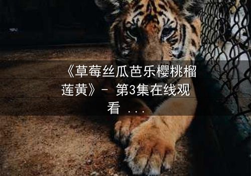 《草莓丝瓜芭乐樱桃榴莲黄》- 第3集在线观看 - 一场色彩与情感的致命诱惑