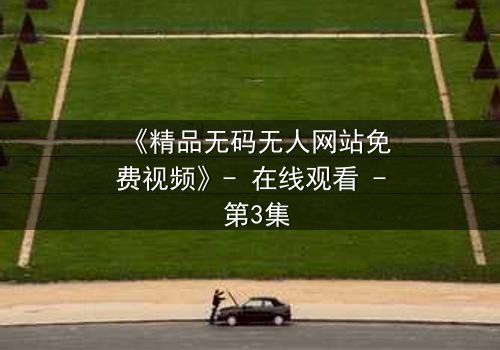 《精品无码无人网站免费视频》- 在线观看 - 第3集
