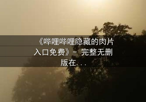 《哔哩哔哩隐藏的肉片入口免费》- 完整无删版在线观看 - 揭开平台隐秘的视觉盛宴