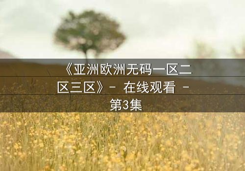 《亚洲欧洲无码一区二区三区》- 在线观看 - 第3集