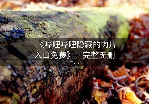 《哔哩哔哩隐藏的肉片入口免费》- 完整无删 - 揭秘那些被遗忘的禁忌片段