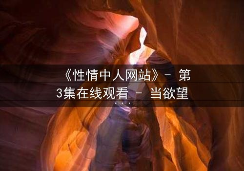 《性情中人网站》- 第3集在线观看 - 当欲望与良知在虚拟世界激烈碰撞