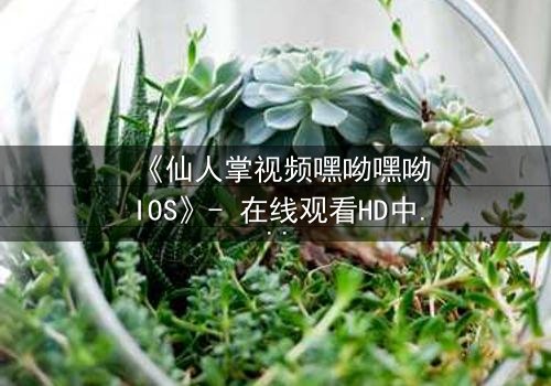 《仙人掌视频嘿呦嘿呦IOS》- 在线观看HD中字 - 当科技与人性碰撞,谁将主宰未来?