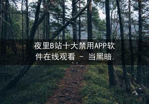 夜里B站十大禁用APP软件在线观看 - 当黑暗APP解锁你的欲望深渊