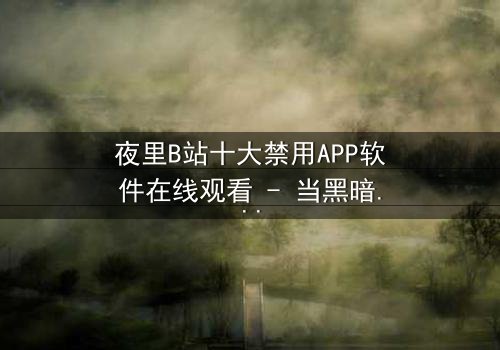 夜里B站十大禁用APP软件在线观看 - 当黑暗中的APP解锁了禁忌之门