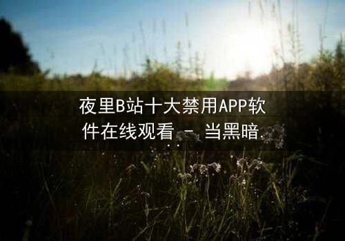 夜里B站十大禁用APP软件在线观看 - 当黑暗APP解锁你的秘密,你敢点开吗?