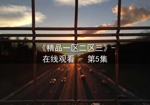 《精品一区二区三》-在线观看 - 第5集
