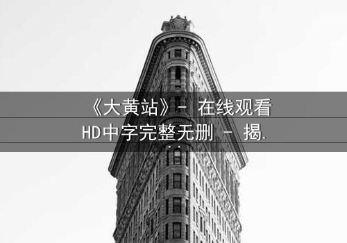 《大黄站》- 在线观看HD中字完整无删 - 揭秘数字迷宫的致命诱惑