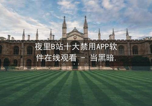 夜里B站十大禁用APP软件在线观看 - 当黑暗APP解锁禁忌,你敢点开吗?