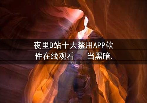 夜里B站十大禁用APP软件在线观看 - 当黑暗降临,谁在操控你的屏幕?