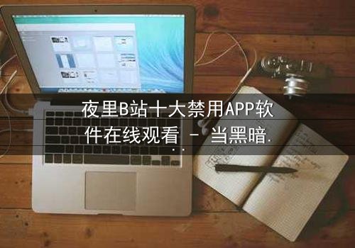夜里B站十大禁用APP软件在线观看 - 当黑暗中的禁忌软件悄然启动,你的命运将如何改写?