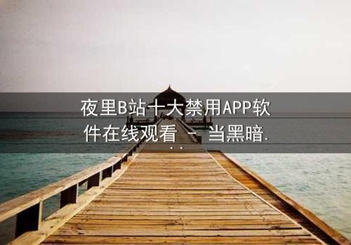 夜里B站十大禁用APP软件在线观看 - 当黑暗APP解锁禁忌,你敢点开吗?