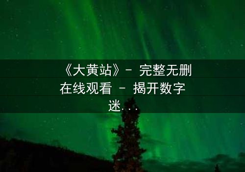 《大黄站》- 完整无删在线观看 - 揭开数字迷宫的致命诱惑
