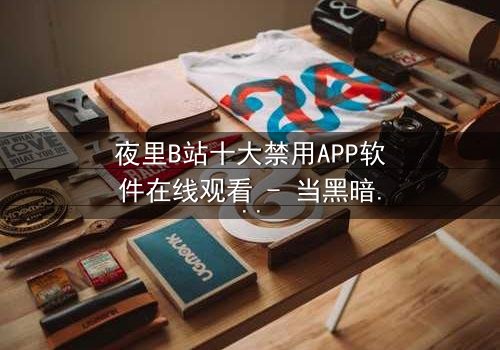 夜里B站十大禁用APP软件在线观看 - 当黑暗中的APP解锁禁忌之门,你敢点开吗?