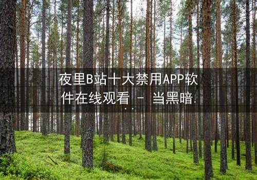 夜里B站十大禁用APP软件在线观看 - 当黑暗APP解锁禁忌,你敢点开吗?