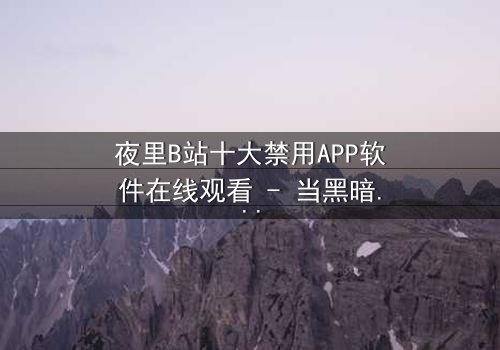 夜里B站十大禁用APP软件在线观看 - 当黑暗中的APP解锁了禁忌之门