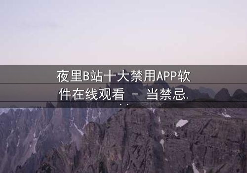夜里B站十大禁用APP软件在线观看 - 当禁忌APP解锁深夜的恐怖真相