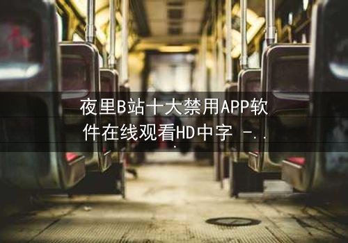 夜里B站十大禁用APP软件在线观看HD中字 - 揭秘深夜禁播的惊悚真相