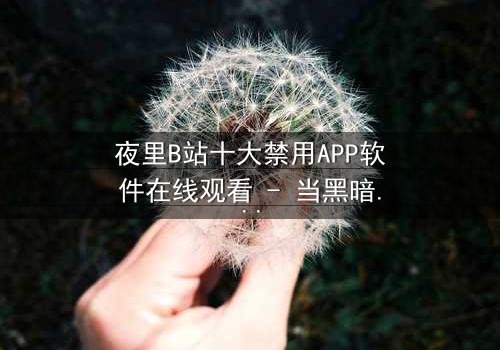 夜里B站十大禁用APP软件在线观看 - 当黑暗降临,你的手机屏幕亮起,禁忌之门悄然开启
