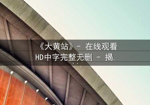 《大黄站》- 在线观看HD中字完整无删 - 揭开网络暗流背后的惊天秘密