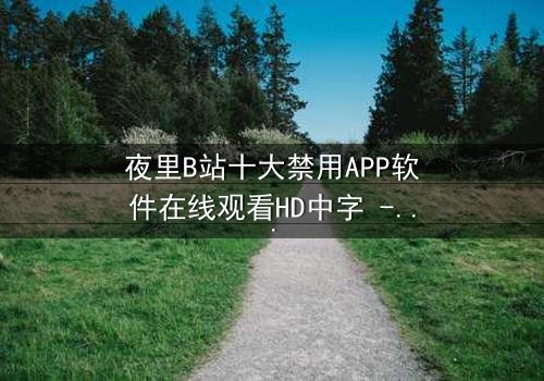 夜里B站十大禁用APP软件在线观看HD中字 - 揭秘那些被禁的深夜诱惑